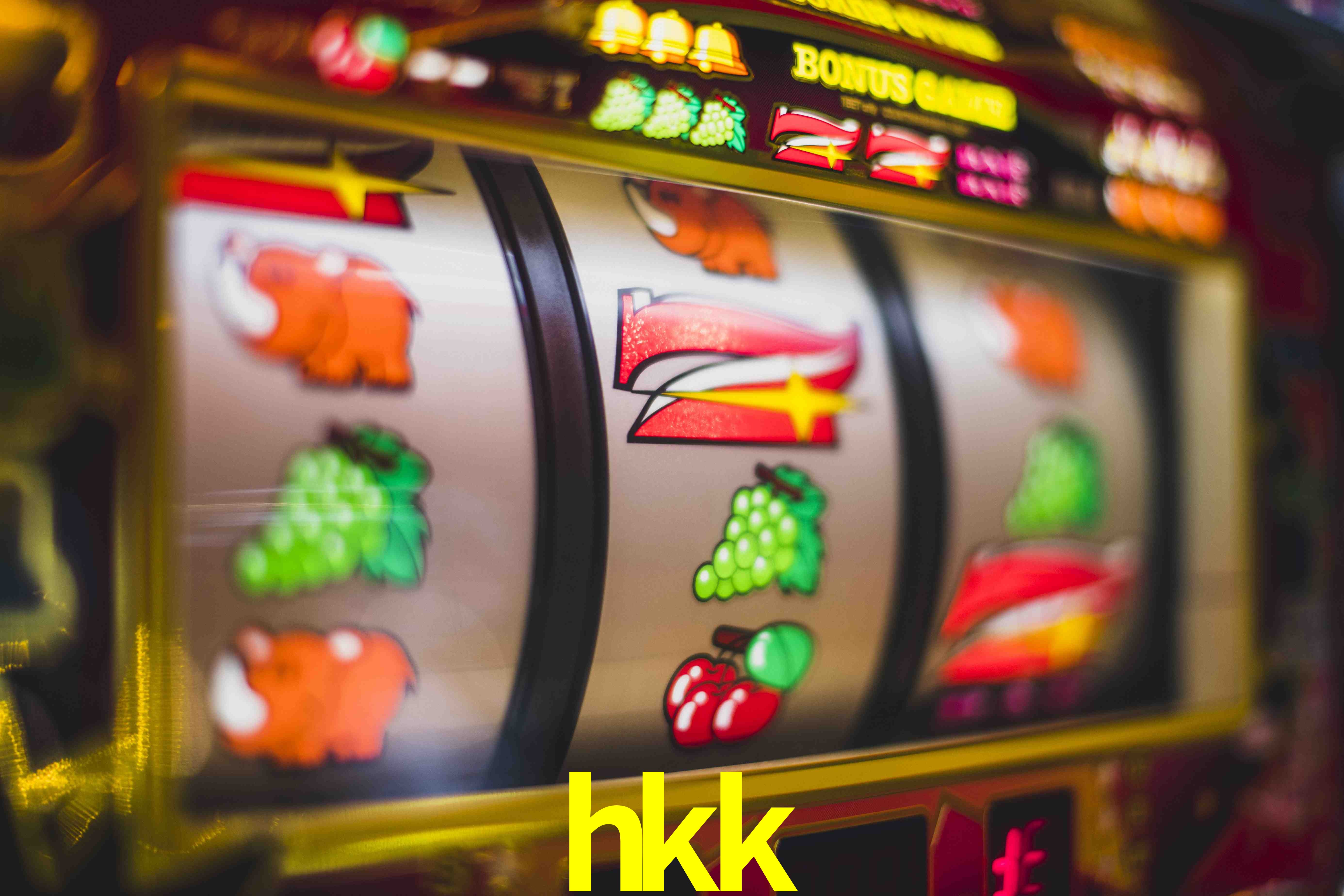 VIP Casino hkk